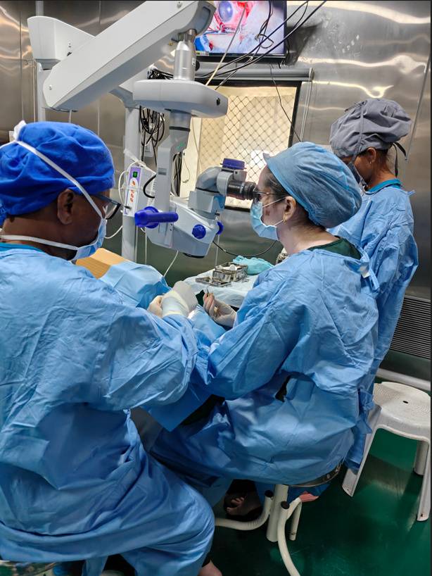 Clinical and surgical ophthalmology training